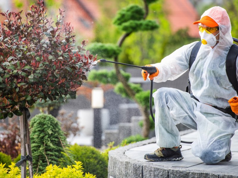 Susurluk Haşere İlaçlama